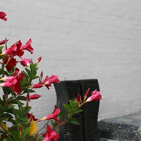 Couette-café Amalie & Odense