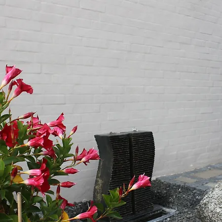 Amalie & 4* Odense