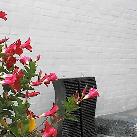 Amalie & Odense